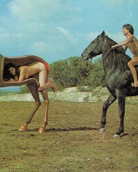 album-cover
